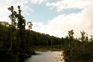 Monowai River Flowing Through New Zealand's Scenic Landscapes