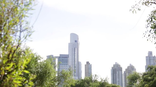 EDIFICIOS ENTRE UN BOSQUE