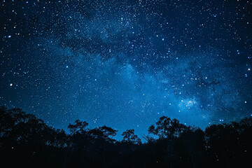 Fototapeta premium Clear Night Sky Filled With Stars and the Milky Way Visible