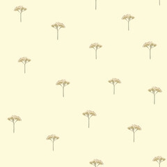 Seamless pattern with scanned real pressed dried yarrow on yellowed background. Texture with white flowers of achillea millefolium on neutral background.