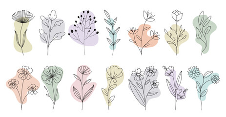 Flowers outline water color clip art set. Spring flower drawing lines clip art in pastel color collection for flat elements decoration. Vector illustration floral outline set.
