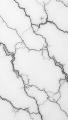 Seamless white marble texture, panoramic view, image, veining, photo