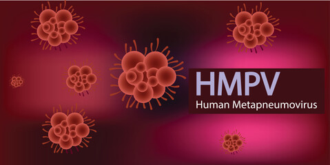 HMPV virus banner, Human Metapneumovirus respiratory virus vector	