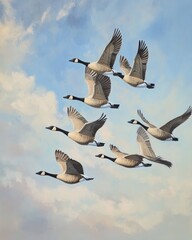 Fototapeta premium Flocking Geese Soaring Through the Open Sky: A Majestic Display of Nature's Wildlife in Motion