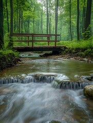 Obraz premium A photo of a quiet forest clearing with a small wooden bridge over a bubbling stream.