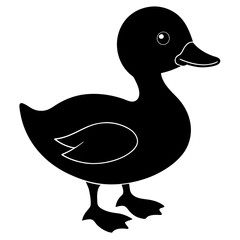 duck on white