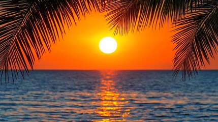 Tropical sunset view through palm leaves.