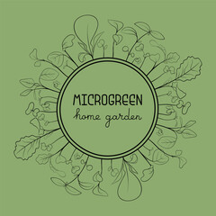 Microgreen leaves and sprouts border in circle frame in sketch style with text in center. Vector line art botanical frame illustration on white background. Healthy eating and nutrition concept.