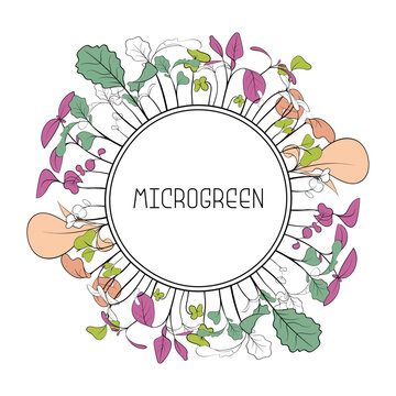 Microgreen leaves and sprouts in circular frame with text in center. Botanical illustration in line art style.