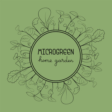 Microgreen leaves and sprouts border in circle frame in sketch style with text in center. Vector line art botanical frame illustration on white background. Healthy eating and nutrition concept.