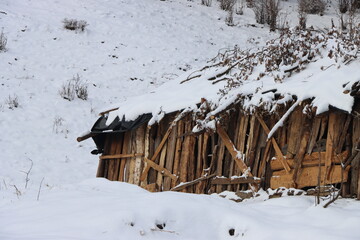 wooden house in the snow