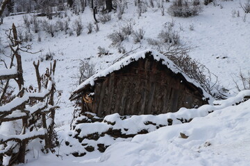 wooden house in the snow