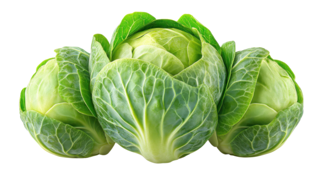 cabbage isolated on white background