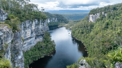 Fototapeta premium Serene River Gorge Landscape: An Aerial View of a Stunning Natural Wonder