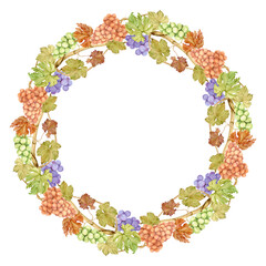 Watercolor grapevine wreath with blue and green berries. Round frame of berries and leaves. Autumn design for rustic wedding decoration. Label for red wine, juice. Clipart for restaurant menu.