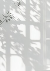 Sunlight casts shadows of leaves and window frame on a white wall.