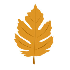 Illustration of orange autumn leaves 