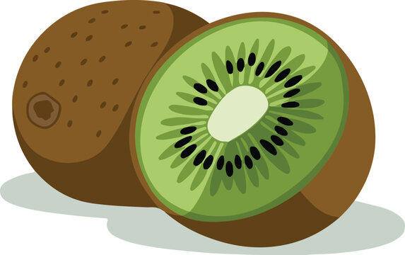 kiwi fruit, brown and green, cut open clip art preview