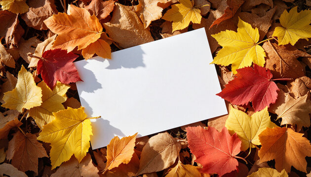 Compliment card surrounded by colorful autumn leaves, expressing gratitude