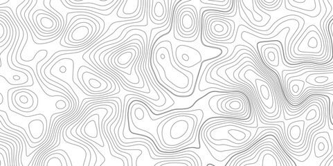 Abstract topography wave lines pattern on white background, topographic contours map background, geographic contour map vector background, White paper curved reliefs for background.