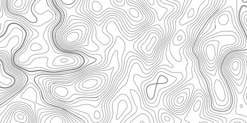 Fototapeta premium Abstract topography wave lines pattern on white background, topographic contours map background, geographic contour map vector background, White paper curved reliefs for background.