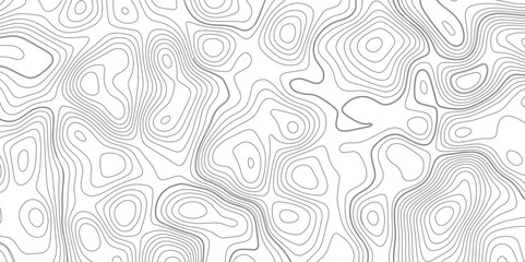 Abstract topography wave lines pattern on white background, topographic contours map background, geographic contour map vector background, White paper curved reliefs for background.