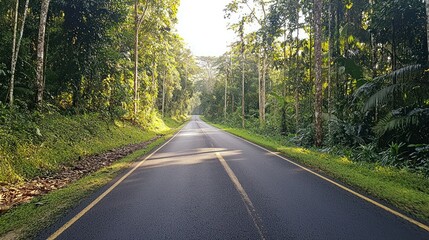 Obraz premium Scenic Drive Through Lush Tropical Forest