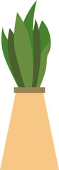Illustration of Sansevieria Plant on Pot, Sanvsevieria on Vase