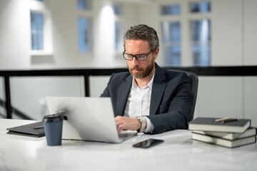 Fototapeta premium Business offices place. Businessman working with laptop in office. Business man director using laptop. Millennial manager at office workplace. Office workers business people at office.