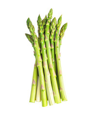 High-Quality PNG green asparagus spears bunch isolated on white background