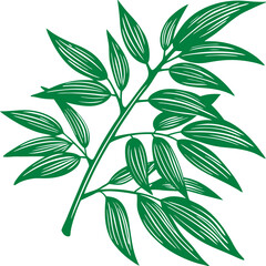 Leaf design, botanical clip art, leaf vector, plant illustration, leaf art, nature graphics