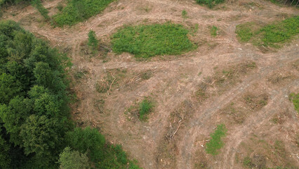 Deforestation effects captured in aerial view, contrasting green forest and bare land