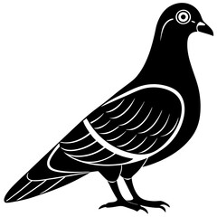 pigeon bird black silhouette vector, Simple silhouette Design vector icon with white background.