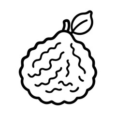 kaffir lime icon, fruits line art, fruits icon - simple black line art icon of kaffir lime perfect for logos, and fruits-themed designs.