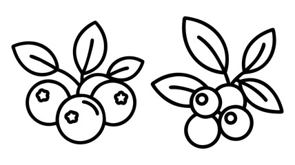 bilberry icon, fruits line art, fruits icon - simple black line art icon of bilberry perfect for logos, and fruits-themed designs.