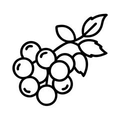 blackcurrant icon, fruits line art, fruits icon - simple black line art icon of blackcurrant perfect for logos, and fruits-themed designs.