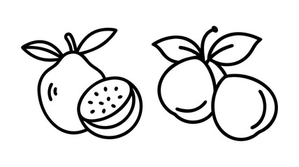nance icon, fruits line art, fruits icon - simple black line art icon of nance perfect for logos, and fruits-themed designs.