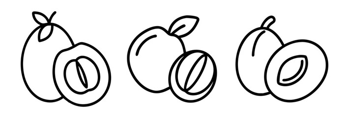 sapodilla icon, fruits line art, fruits icon - simple black line art icon of sapodilla perfect for logos, and fruits-themed designs.
