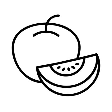 recommend clip art: cantaloupe icon, fruits line art, fruits icon - simple black line art icon of cantaloupe perfect for logos, and fruits-themed designs.