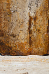 Rich warm yellow brown and tan textured background showing textures in stone sandstone and petrified wood