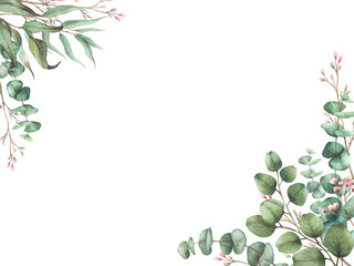 Eucalyptus seeded, silver dollar tree plant with Laurel branch and twig with pink buds and flowers rectangular frame. Watercolor greeting card templated. Painted illustration isolated from background  © Bartol_art