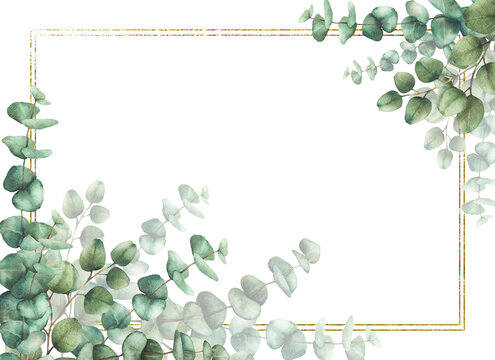 Eucalyptus leaves and branches with gold framed. Watercolor hand drawn floral banner illustration. Frame, template for wedding invitations, save the date or greeting cards. Isolated from background