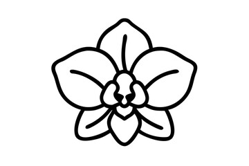 A Single Orchid - Line Art Illustration