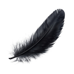 black feather isolated on transparent background PNG