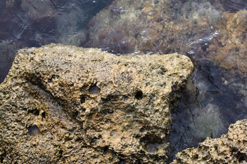 Obraz premium Closeup look at large size stone on beach coast