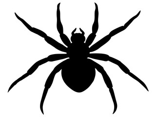 spider black silhouette vector, Simple silhouette Design vector icon with white background.