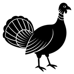 turkey bird black silhouette vector, Simple silhouette Design vector icon with white background.