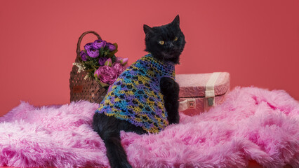 black cat on a pink background with flowers and a suitcase