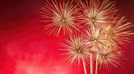 Chinese new year fireworks idea. Vibrant fireworks display illuminating the night sky with colorful bursts and sparks.