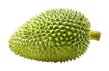 Single jackfruit with green thorny exterior nature close-up high fidelity detailed view tropical concept isolated on transparent background png